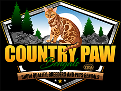 Country Paw bengals